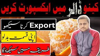 How to export Kinnow from Pakistan Citrus Orange export  کنو ایکسپورٹ کرنے کا مکمل طریقہ [upl. by Egwan273]