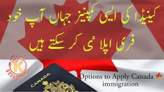 How to Apply Canada 🍁 Immigration  Name of Companies NBPNP Program Creator 04 [upl. by Renny]