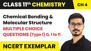 Chemical Bonding and Molecular Structure  MCQs Type 1  Que 1 to 11  Class 11 Chemistry Ch 4 [upl. by Lokim741]