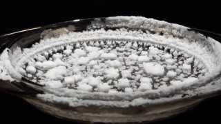 Timelapse  Salt Crystals [upl. by Veronike]