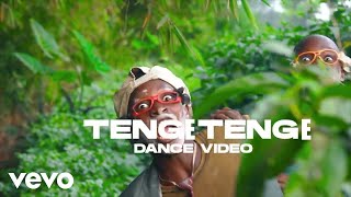 Tenge Tenge Tengelele Zari Dancer Africa Official [upl. by Trudey]