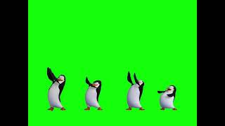 Greenscreen Dancing Penguins of Madagascar [upl. by Timotheus]