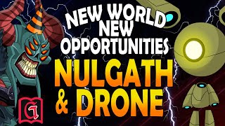 AQW BOT  NULGATH BIRTHDAY PET amp BOUNTY HUNTERS DRONE  GRIMLITE Li  GRIMLITE 13  New World [upl. by Adna]