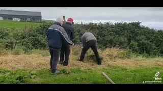 Preparing for Ballyheigue coursing 2024 [upl. by Birdt426]