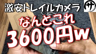 【衝撃映像】コスパ最強！Amazonで3600円で買った激安トレイルカメラの性能が凄すぎたｗｗｗ Cheap trail camera review [upl. by Constant]