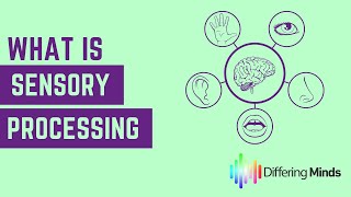 Sensory Integration and how to get an assessment [upl. by Beedon]