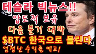 테슬라 빅뉴스  Tesla 압도적 보유  다음 분기 게임체인저  일론 머스크   테슬라 투자  이번 사이클 비트코인 한국으로 몰린다 반감기 사이클 엄청난 수익률 예고 [upl. by Spanjian]