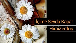 İçime sevda kaçar  HiraiZerdüş [upl. by Aizti]