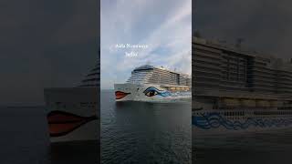 AIDA NOVA blows her horn to greet the SKY PRINCESS cruiseship cruise travel shipshorn [upl. by Eixam]