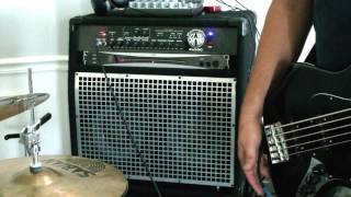 SWR WorkingPro 2x10C bass amp review [upl. by Annasoh245]