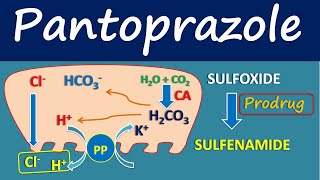 Pantoprazole  Mechanism side effects and uses [upl. by Jahdiel58]