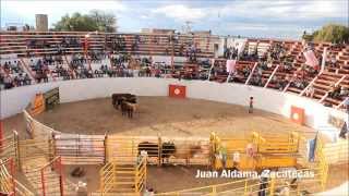 V Super Bull Juan Aldama Rodeo Zacatecas 2013 [upl. by Rebmat]