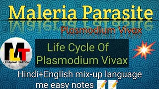 malaria parasite ।। Life cycle of plasmodium Vivax ।। [upl. by Lledyr]