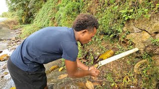 Finding The Fiji Water Source deep in the mainland Fiji🇫🇯 [upl. by Selby]