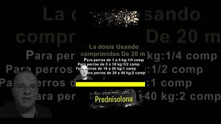 🔴Mi Perro tiene Alergia Que Puedo Hacer ⏩Tratamiento Fácil de La Alergia en Perros short [upl. by Ettedo]