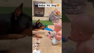 Baby or dog 💪 dog baby pets petlovers puppy love yttrending viralvideo [upl. by Boehike557]