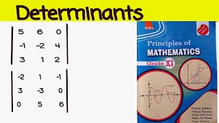 1c d Determinants class 11 principles of Mathematics [upl. by Dev]