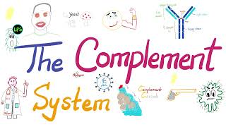 The Complement System  The most COMPREHENSIVE Explanation [upl. by Herculie]