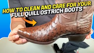 How To Clean Condition And Care For Full Quill Ostrich Boots [upl. by Cyrillus]