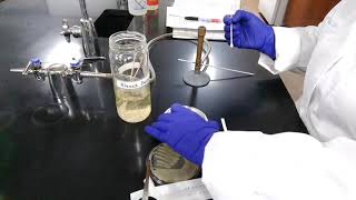 Oxidase Test Procedure [upl. by Judith254]