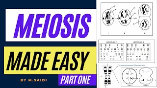 MEIOSSIS MADE EASY GRADE 12 LIFE SCIENCES INTRODUCTION AND CROSING OVER BY MSAIDI THUNDEREDUC [upl. by Materse]