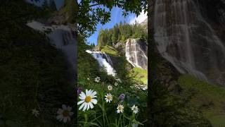 Beautiful nature 🌸🌊🌿💖💕shortvideo trending photography viralvideo music [upl. by Ewart]