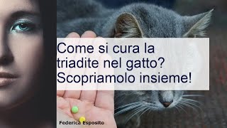 Triadite nel gatto cura sintomi e sopravvivenza [upl. by Ayahsey]