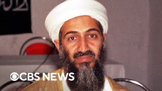 Tere bin laden dead or alive full movie [upl. by Macmahon]