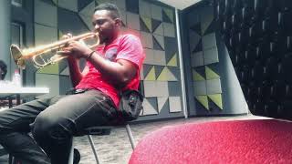 HEWALE LALA BY PEREZ MUZIK COVER🎺🎺 [upl. by Sihon]