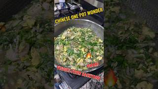 CHINESE ONE POT WONDER a hearty and healthy one pot meal with fresh veggies from my backyard food [upl. by Dekow743]