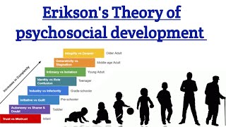 Eriksons theory of Psychosocial Development psychology 8 stages of psychosocial theory in hindi [upl. by Riada]