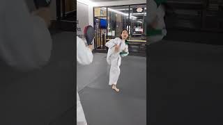 Taekwondo Kicking Combinations taekwondo shorts [upl. by Dominique15]