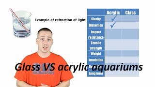 Glass VS Acrylic aquariums [upl. by Gustin140]