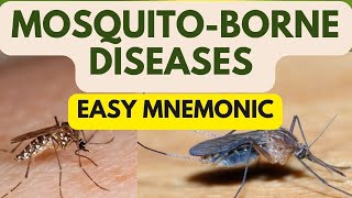 Mosquito Borne Diseases Easy Mnemonics for Anopheles Culex Aedes and Mansonia [upl. by Dumm]