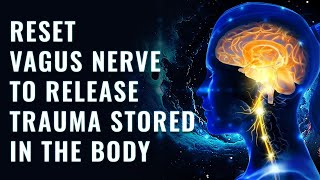 Powerful Vagus Nerve Stimulation Music Nerve Healing Binaural Beats  Nerve Regeneration [upl. by Icul]