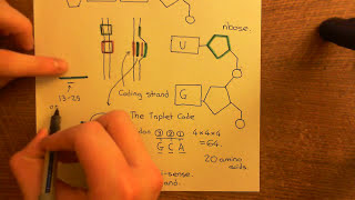 Antisense Oligonucleotides Part 2 [upl. by Cathe]