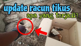 Episod1292 membongkar lubang tikus dalam reban ayam ini yang terjadi [upl. by Enomsed]