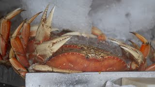 CAs commercial Dungeness crab season will end early to protect whales [upl. by Wons]