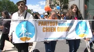 Manifestation pour laccès aux lieux publics des chiens daveugles [upl. by Esmerelda]