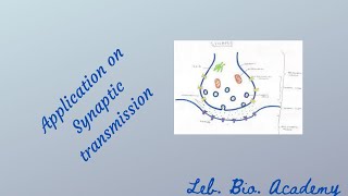 Application  solve a session on synaptic transmission [upl. by Harikahs]