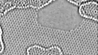 Carbon atoms moving at the edge of a hole in graphene [upl. by Ng]