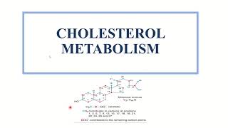 Cholesterol Biosynthesis Malayalam Cholesterol Metabolism [upl. by Nnaeirb]