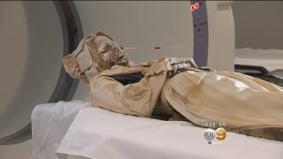 300 Years After Death Mummies Get An Autopsy In Santa Ana [upl. by Esojnauj438]