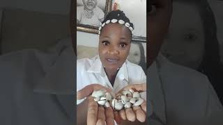 how to use cowries to attract money to your life [upl. by Ellerd897]