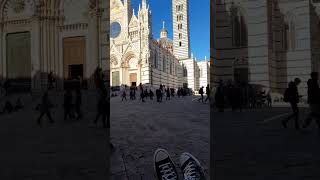 DUOMO SIENA🇮🇹 shorts [upl. by Loos]