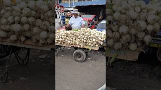 Manojo de cebolla en el Mercado Central San Salvador ElSalvador choteando503 [upl. by Kcub]