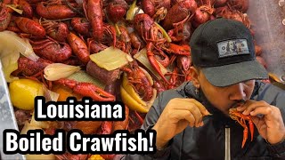 How To Make Louisiana Boiled Crawfish  Southern Cooking  Chef AldenB [upl. by Caldeira63]