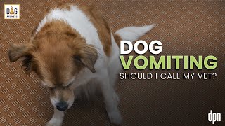 Dog Vomiting Should I Call My Vet  Dr Nancy Reese Deep Dive [upl. by Attolrahc]