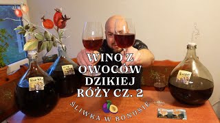 Wino z owoców dzikiej róży cz 2  śliwka w bonusie [upl. by Slavic]