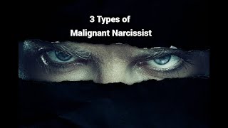 3 Types of Malignant Narcissist Grandiose Covert Borderline [upl. by Frymire836]